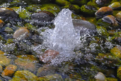 Acqua di Sorgente